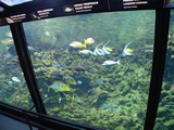 Acquario di Cattolica Parco Le Navi